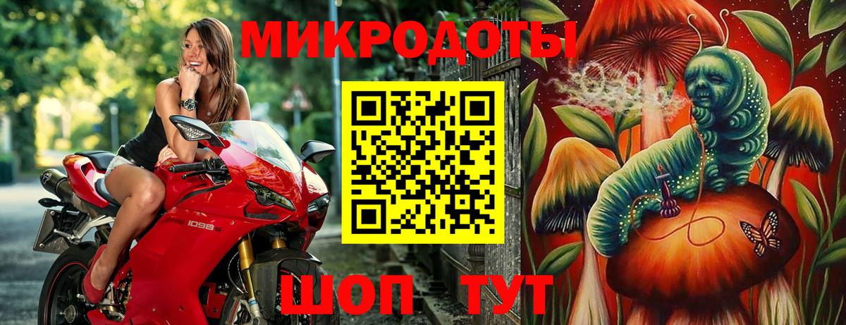 Галлюциногенные грибы Psilocybe  Вход с VPN  Галлюциногенные грибы прущие грибы  Волжск 